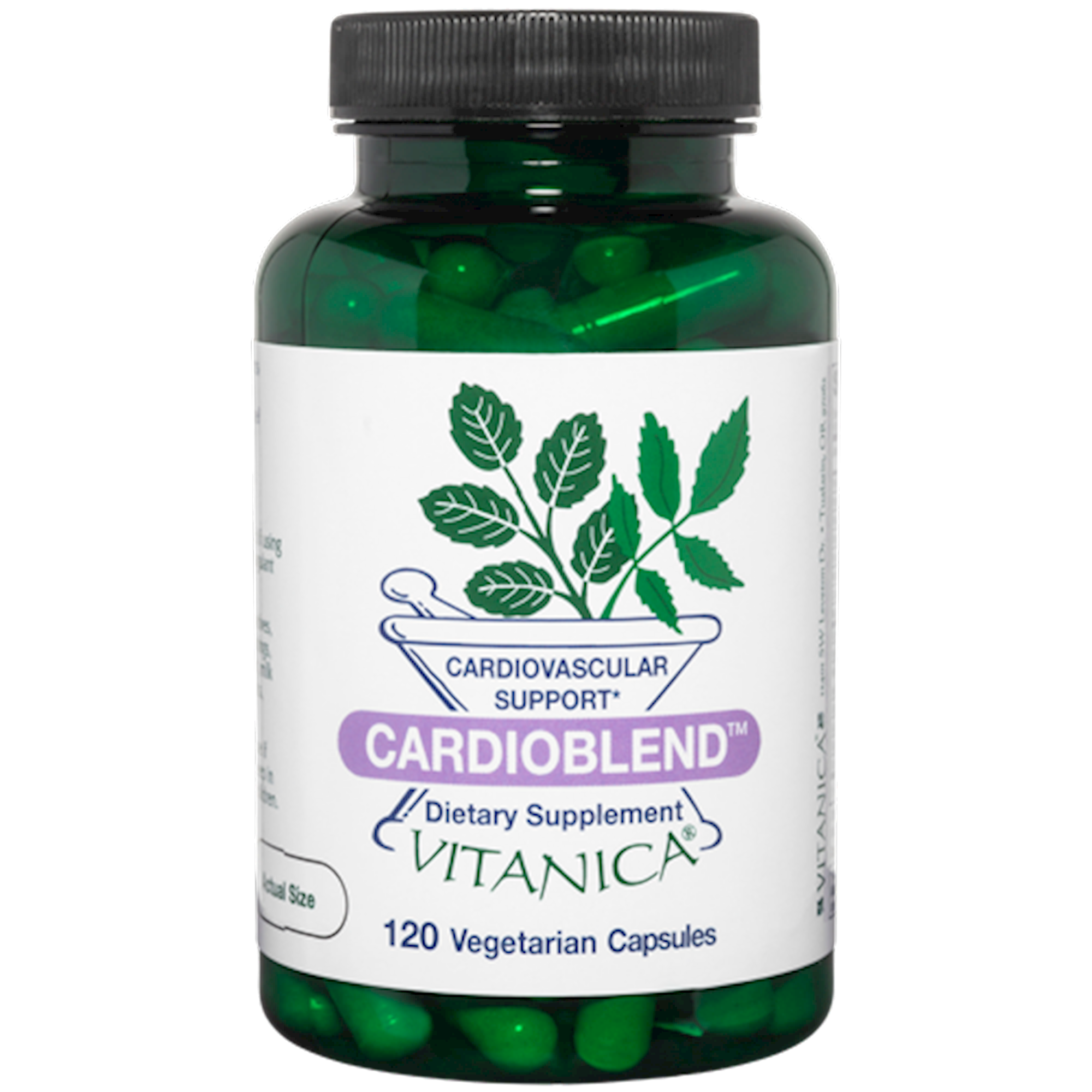 CardioBlend